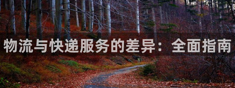 28圈充值：物流与快递服务的差异：全