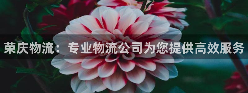 28圈怎么注册账号：荣庆物流：专业物