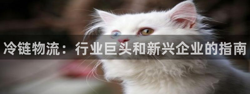28圈注册官网：冷链物流：行业巨头和