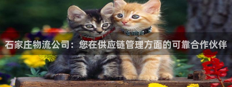 28圈初始密码在哪里修改的：石家庄物