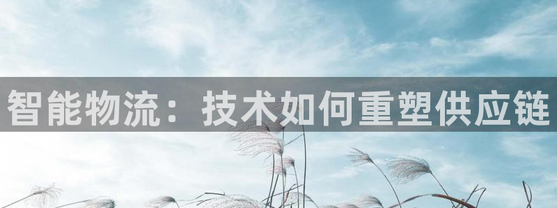 28圈可靠吗：智能物流：技术如何重塑