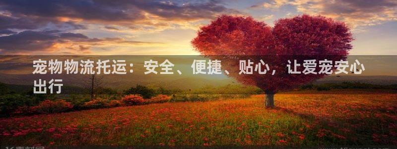 28圈注册网站APP：宠物物流托运：