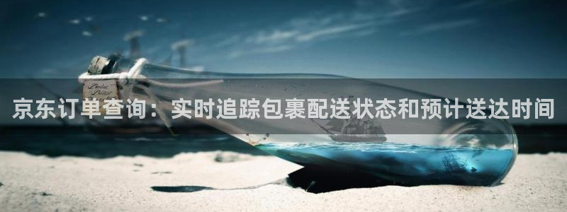 28圈充值不到账怎么回事：京东订单查