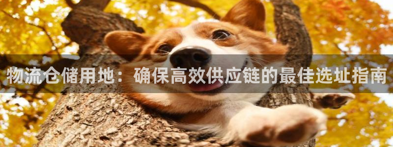 28圈加拿大下载：物流仓储用地：确保