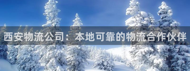 28圈注册用户名是什么：西安物流公司