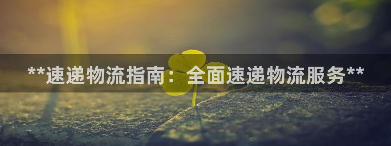 28圈官网开奖结果预测查询：**速递