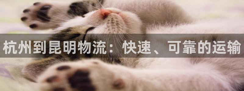 28圈p扣除：杭州到昆明物流：快速、