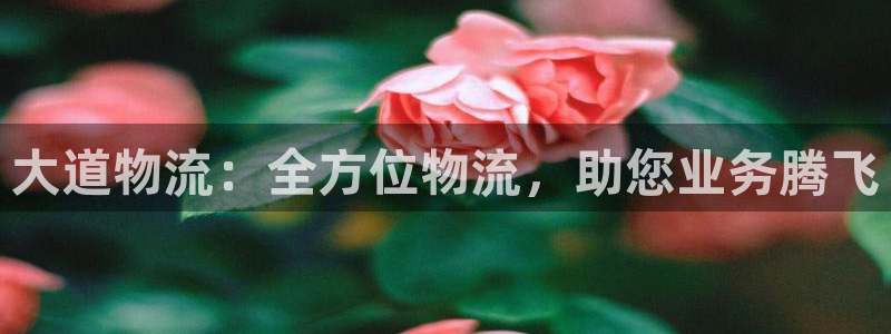 28圈分分28预测：大道物流：全方位