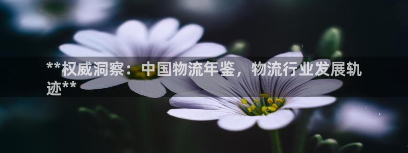 28圈比特28预测在线预测
