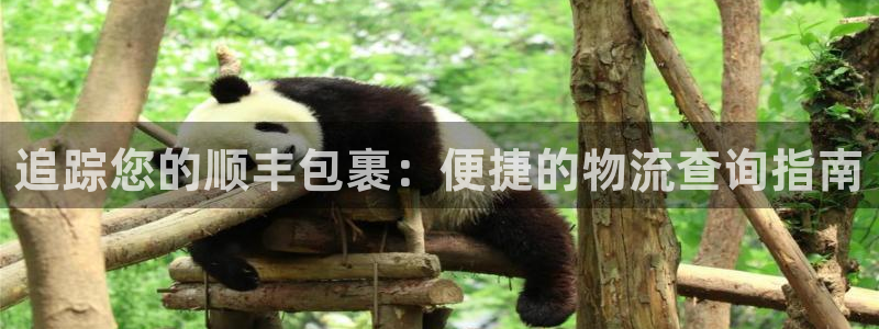 28圈充值不处理怎么办：追踪您的顺丰