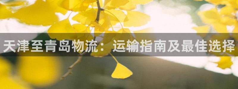 28圈p扣除是什么意思：天津至青岛物