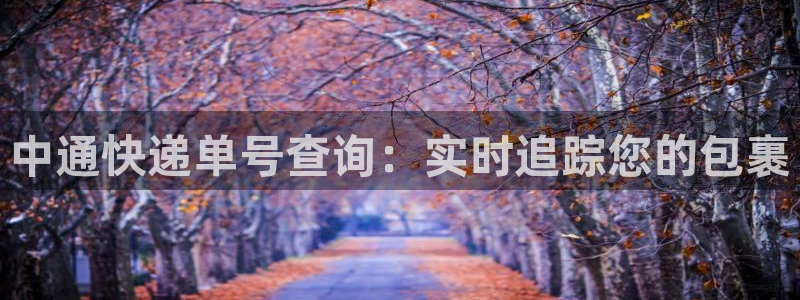 28圈推广链接是多少钱一个