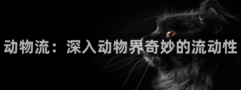 28圈官网多少：动物流：深入动物界奇