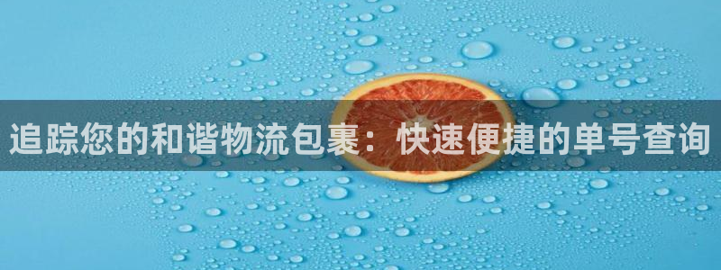 28圈注册网站谁有：追踪您的和谐物流