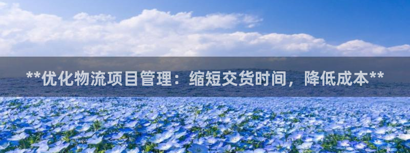 28圈软件有什么用：**优化物流项目