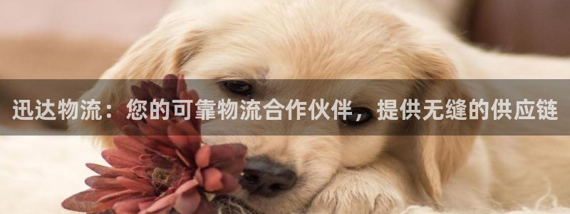 28圈加拿大28：迅达物流：您的可靠