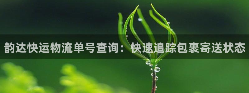 28圈注册二维码：韵达快运物流单号查