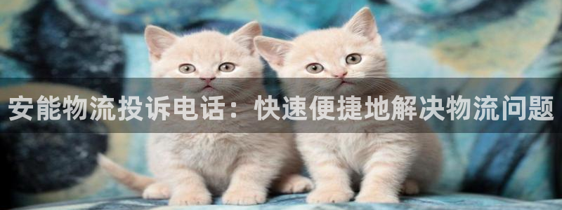 28圈初始密码在哪里修改：安能物流投