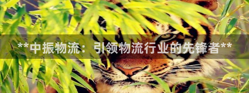 28圈.ccmpc预测