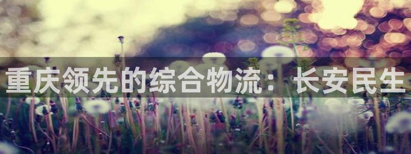 28圈黑平台吗