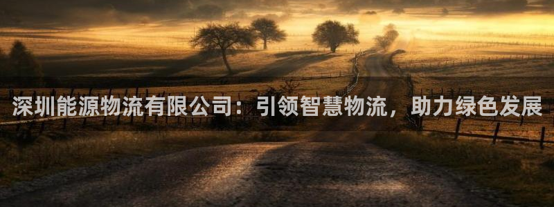 28圈官网网站：深圳能源物流有限公司