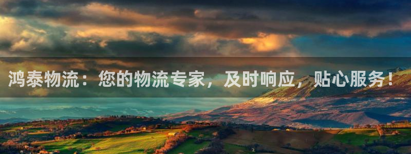 28圈官方网站：鸿泰物流：您的物流专