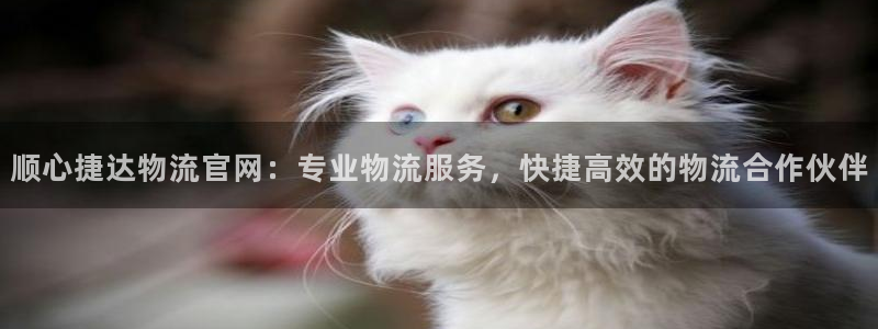 28圈app能退款吗