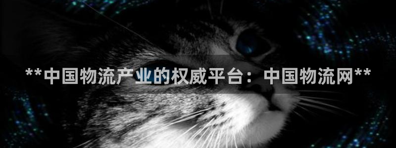 28圈网站平台