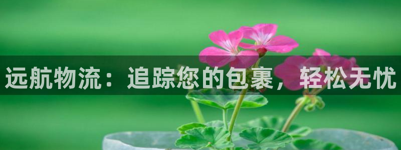 28圈注册步骤：远航物流：追踪您的包