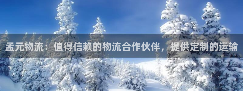 28圈充值不到账怎么办