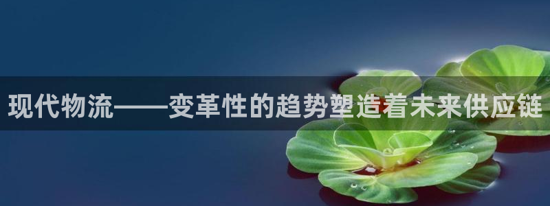 28圈娱乐官网网页下载：现代物流——
