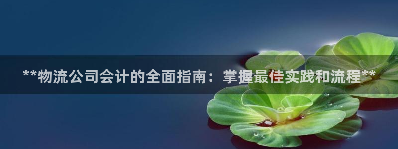 28圈p扣除是什么意思