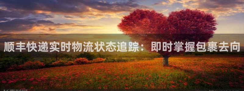 28圈app官网少林足球：顺丰快递实