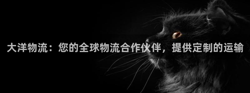 28圈辅助