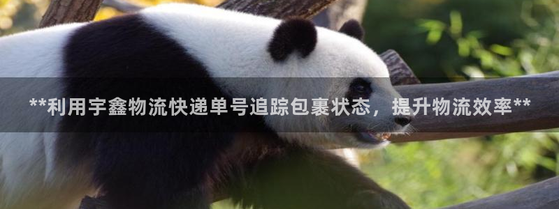28圈注册网站链接：**利用宇鑫物流