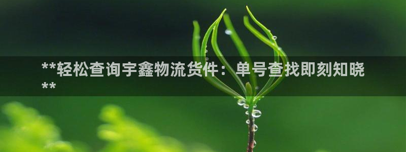 28圈客服一直不回消息怎么办