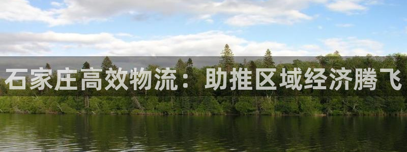 28圈app能退款吗：石家庄高效物流