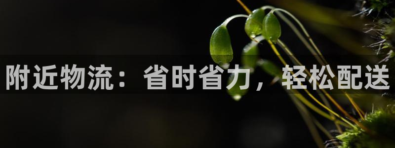 28圈昵称：附近物流：省时省力，轻松