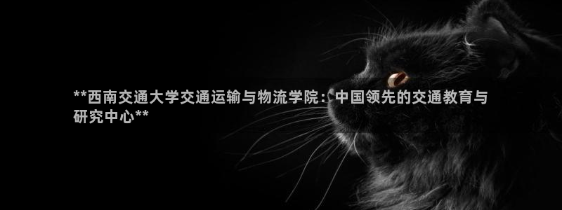 28圈分分28预测