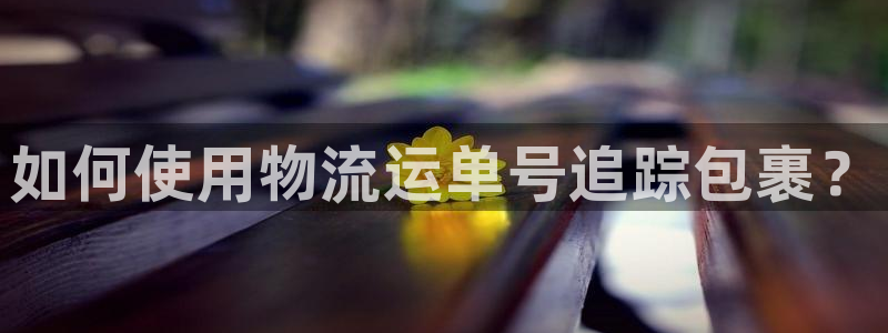 28圈pg麻将胡了