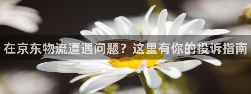 28圈黑款：在京东物流遭遇问题？这里