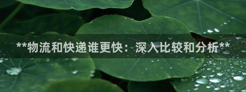 28圈忘记账号：**物流和快递谁更快