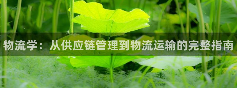 28圈加拿大2.8预测在线预测