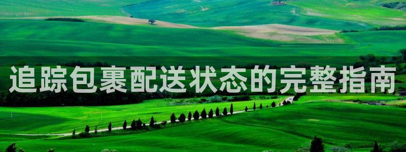 南宫28圈官网版：追踪包裹配送状态的