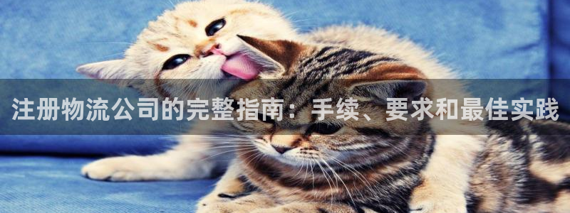 自行车28圈是什么意思