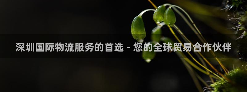28圈大舞台：深圳国际物流服务的首选