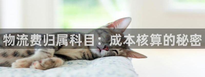 28圈官网开奖结果预测查询