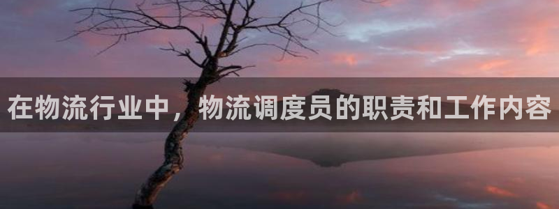 28圈圈助手：在物流行业中，物流调度员的职责和工作内容