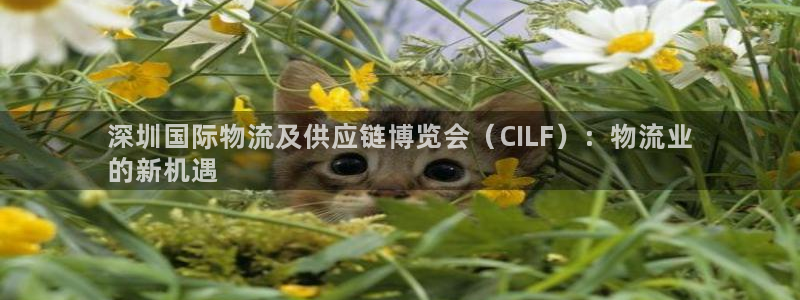 28圈.ccmo：深圳国际物流及供应