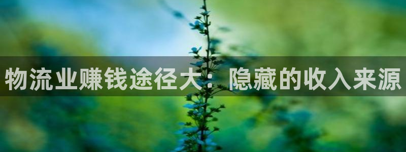 28圈分分压单双技巧：物流业赚钱途径大：隐藏的收入来源